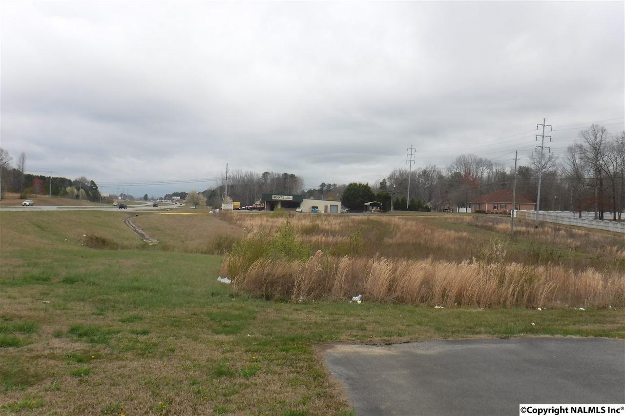 0 Brindlee Mountain Parkway - Photo 1
