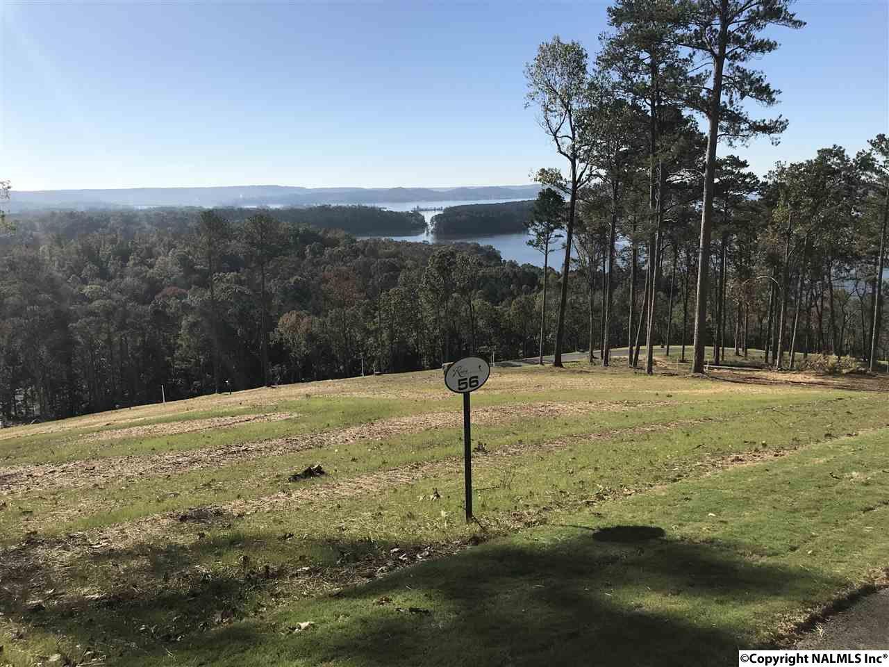 0056 Sunny Brook Farm Road - Photo 1