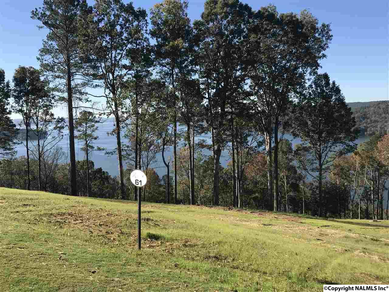 0061 Sunny Brook Farm Road - Photo 1