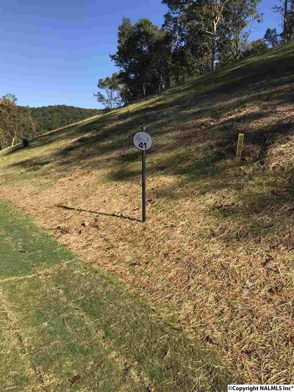 0041 Sunny Brook Farm Road - Photo 1