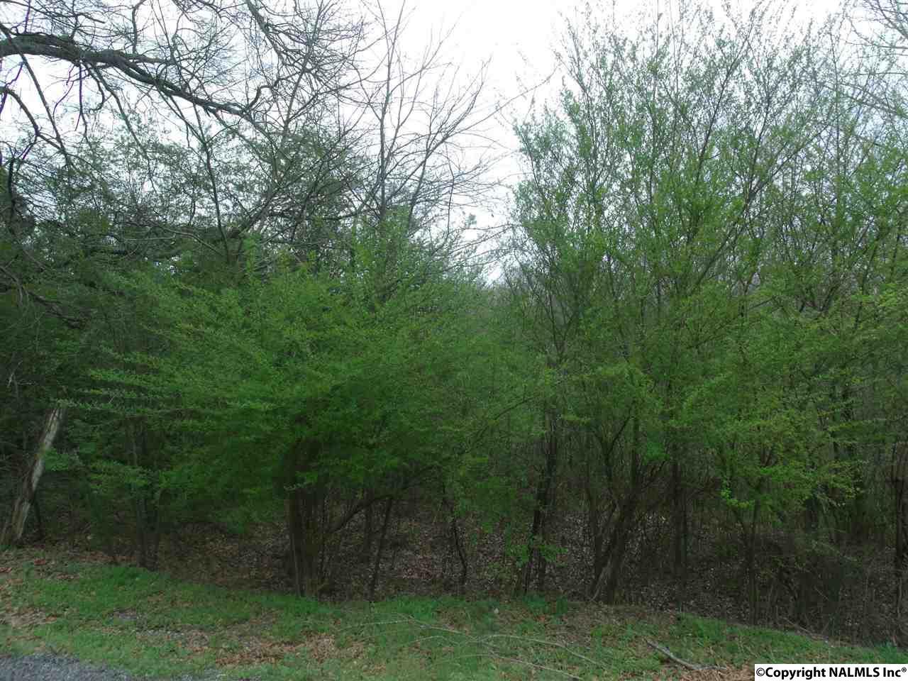 10 AC County Road 1855 - Photo 1