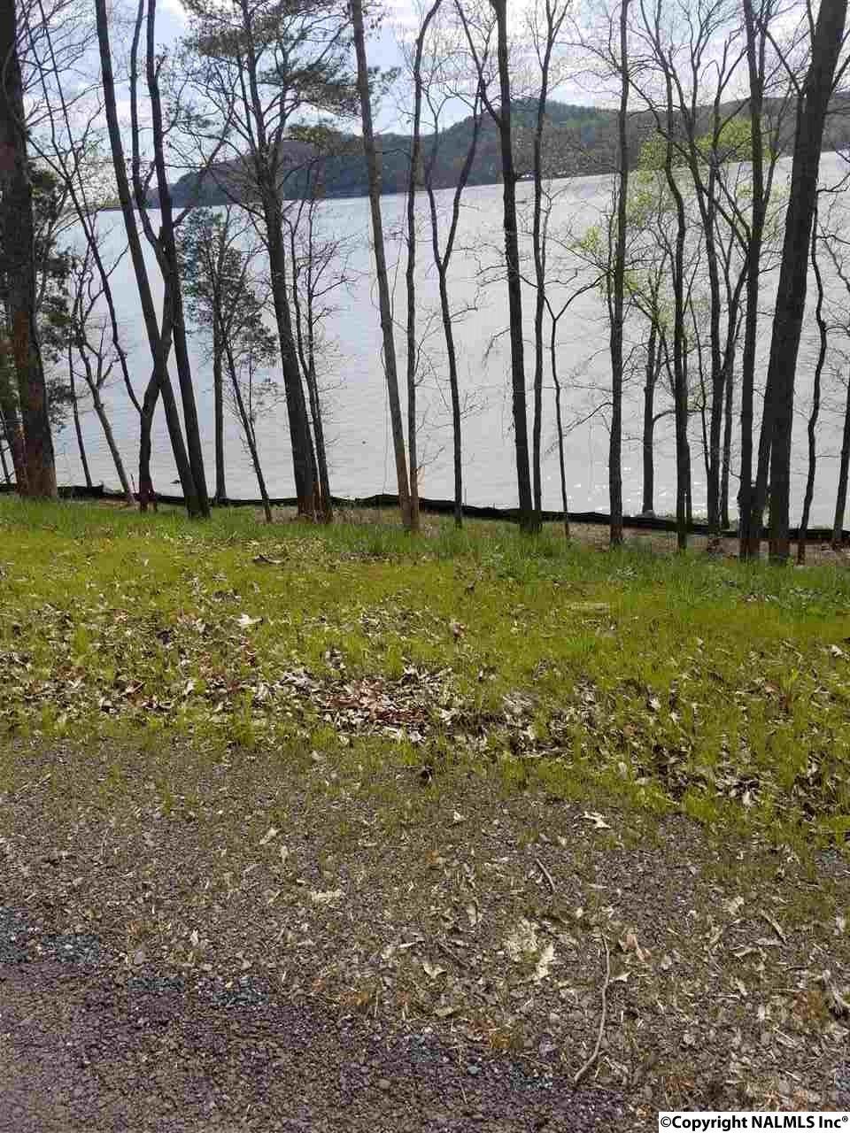1035 Sunny Brook Farm Road - Photo 1