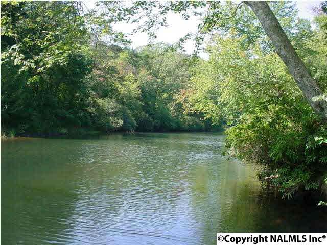 396 County Road 635 - Photo 1