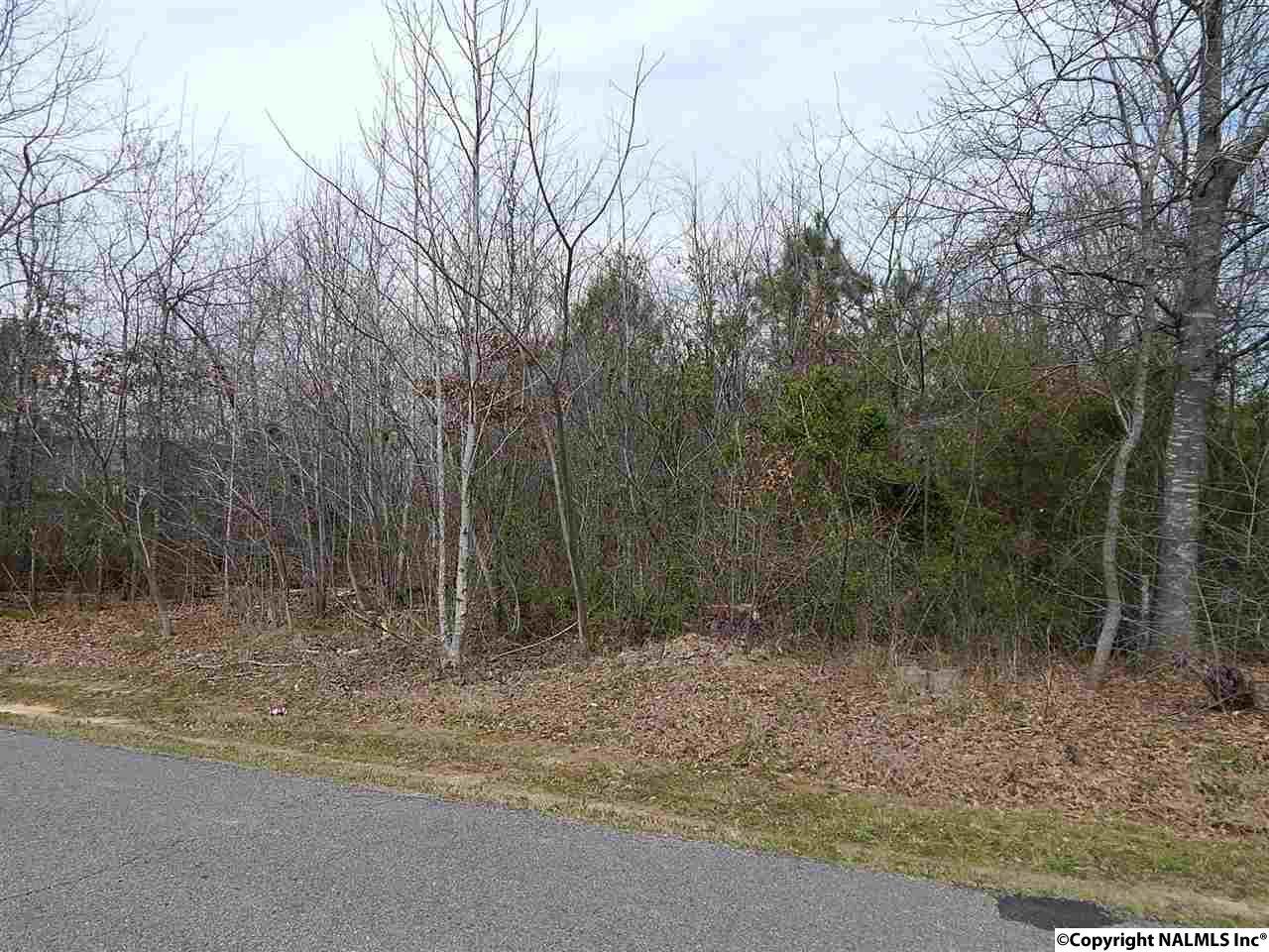 Fossett Road - Photo 1