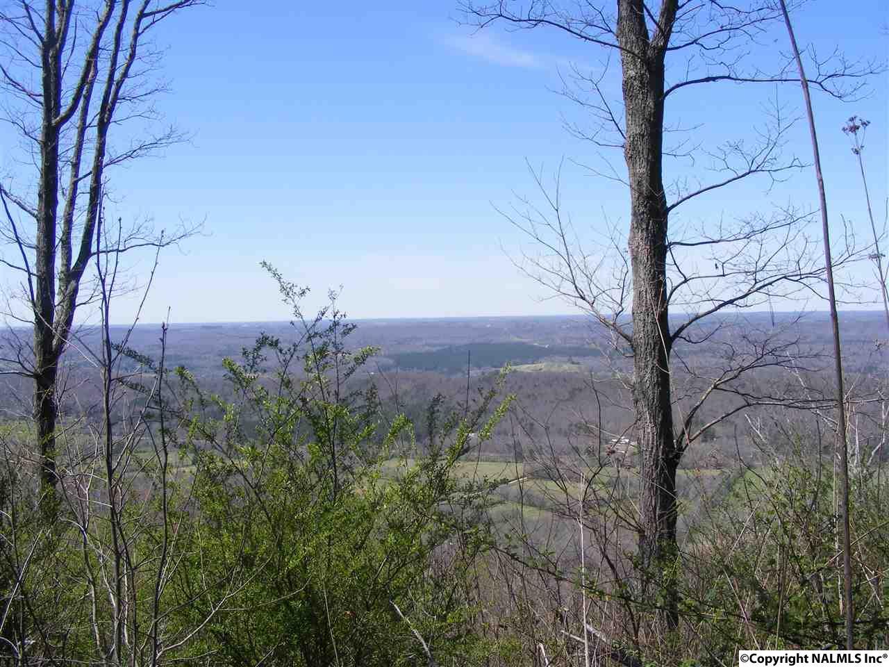 17828 County Road 89 - Photo 1