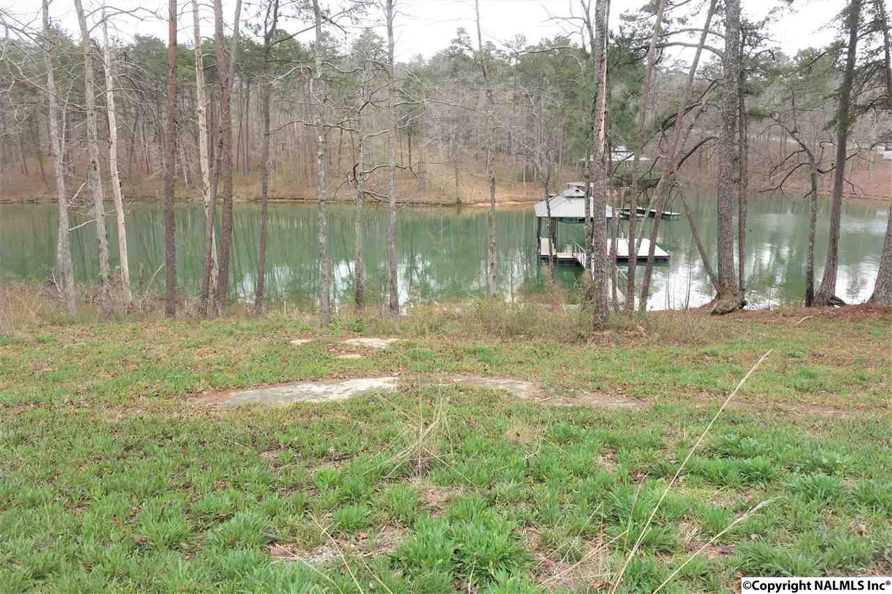 0 County Road 179 - Photo 1