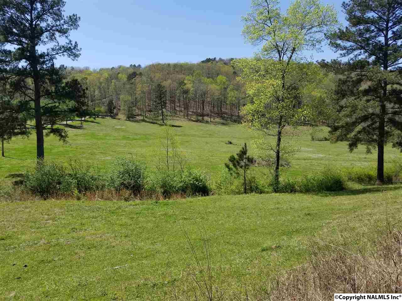 0 County Road 813 - Photo 1