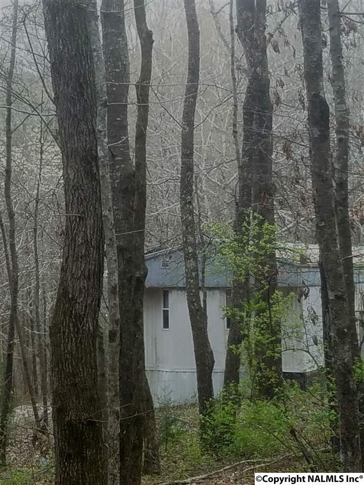 3728 Ripley Road - Photo 1