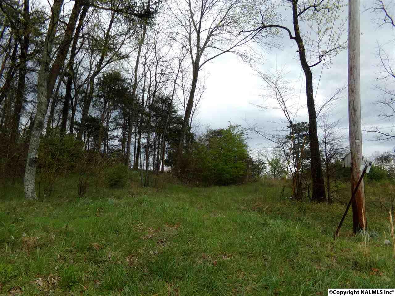 County Road 1009 - Photo 1