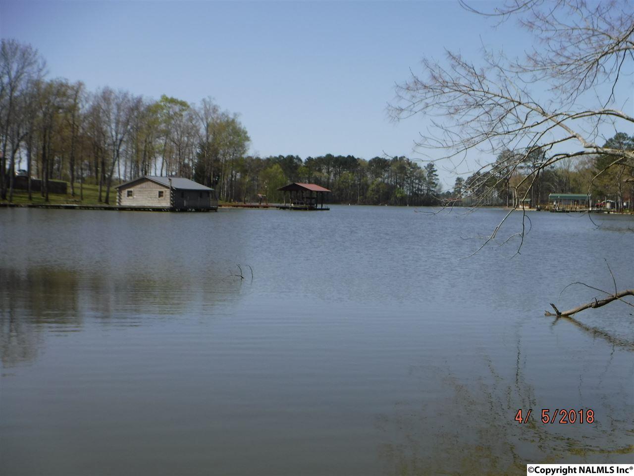 8 and 9 County Road 131 - Photo 1