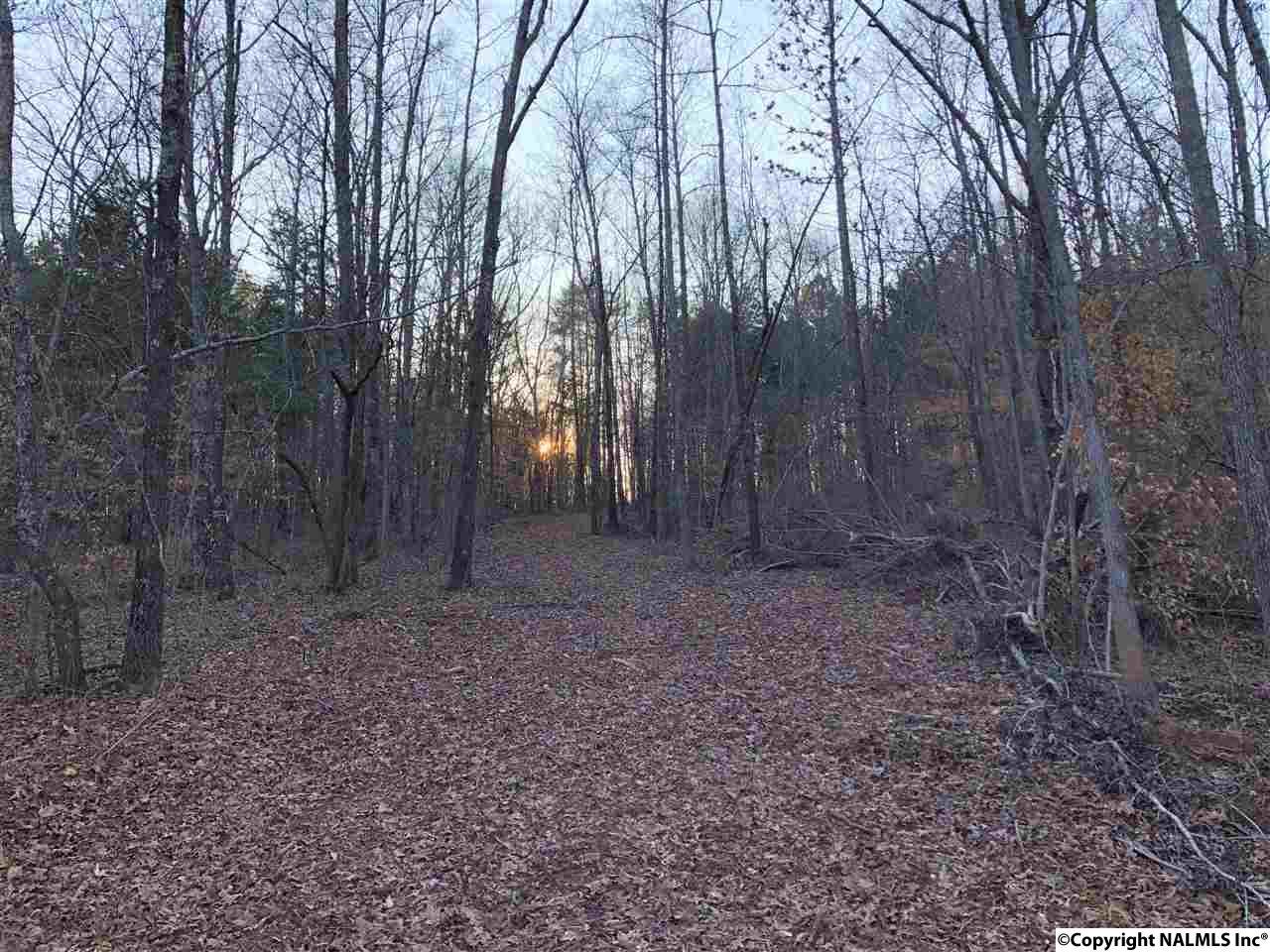 00000 County Road 55 - Photo 1