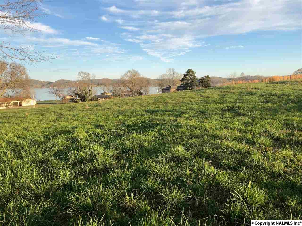0 Browns Creek Road - Photo 1