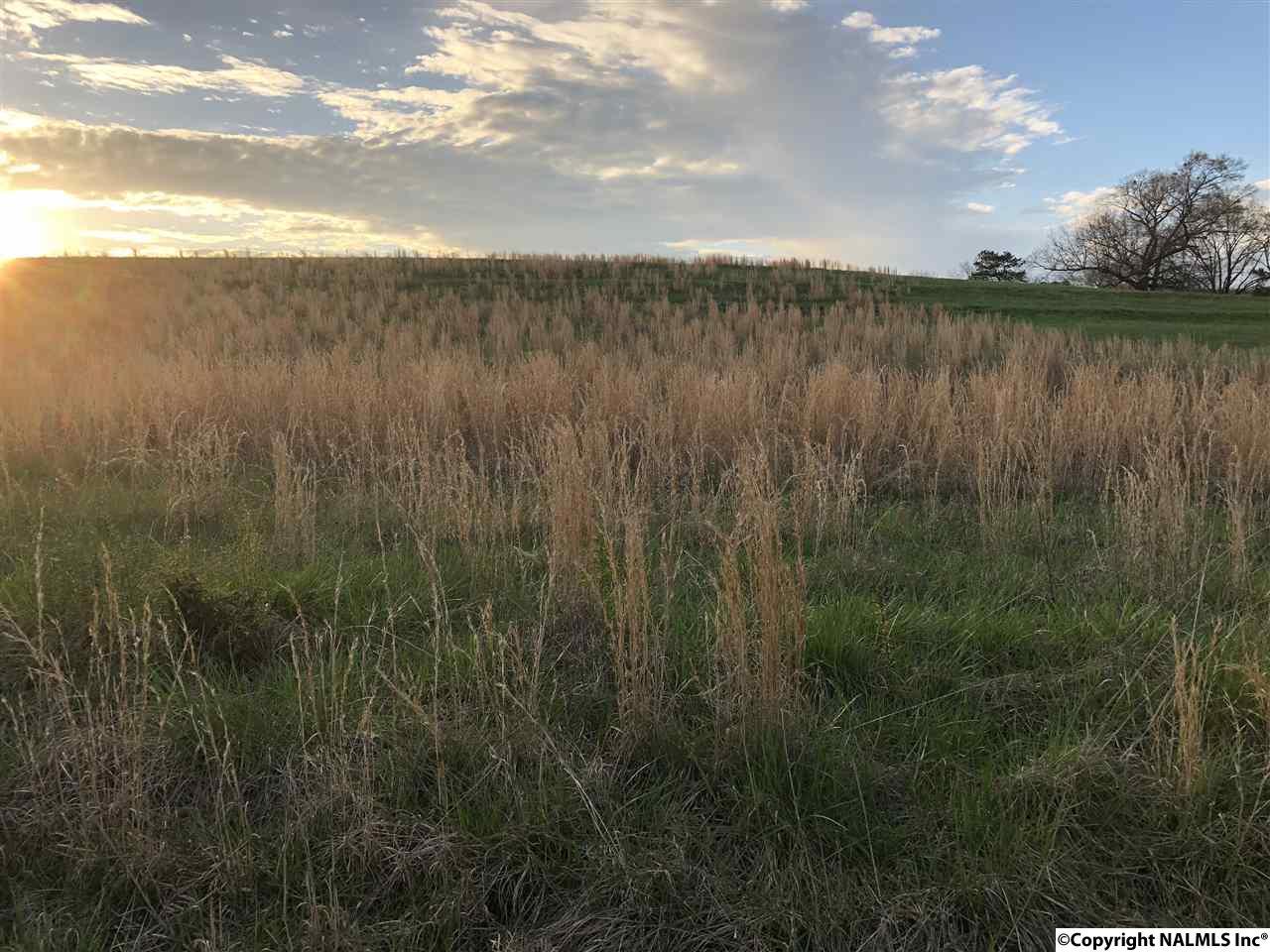 00 Browns Creek Road - Photo 1