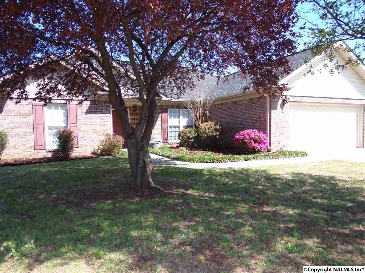 229 Morning Star Drive - Photo 1