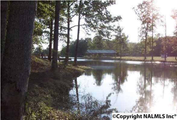 County Road 102 - Photo 1
