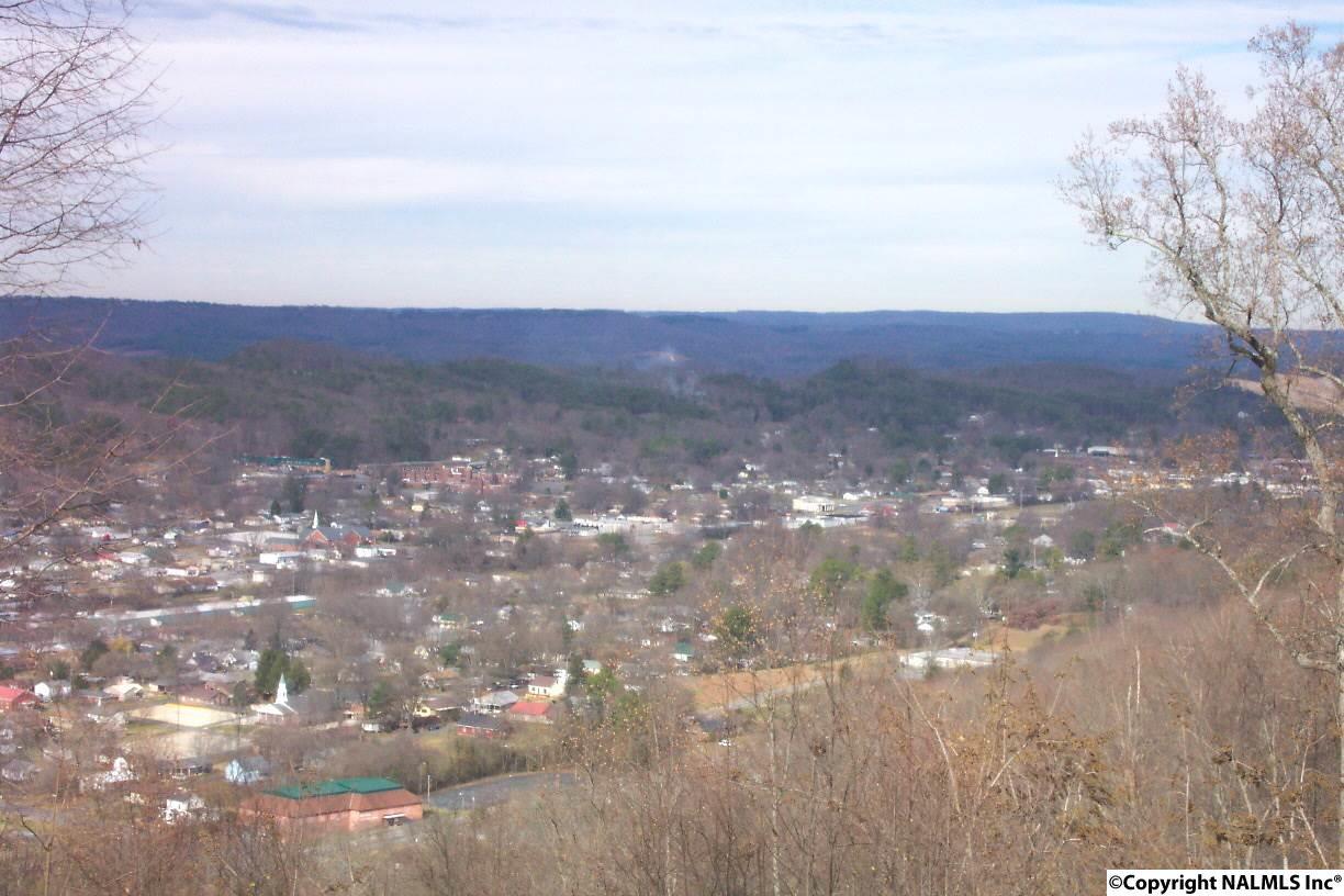 Rosewood Drive - Photo 1