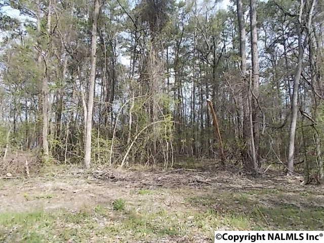 000 County Road 24 - Photo 1