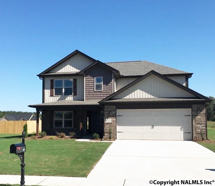 222 Maggie Mance Lane - Photo 1