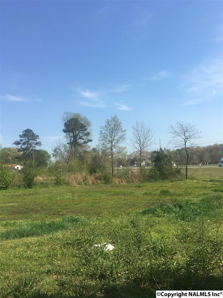 0 Alabama Hwy 157 - Photo 1