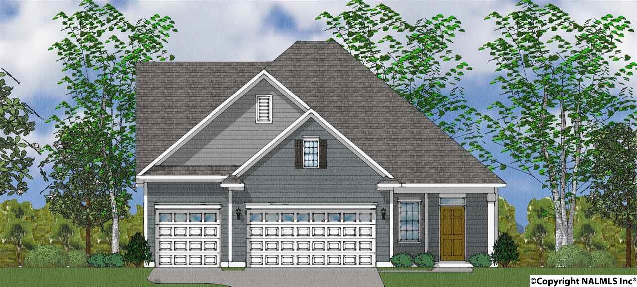 29603 Nicholson Drive - Photo 1