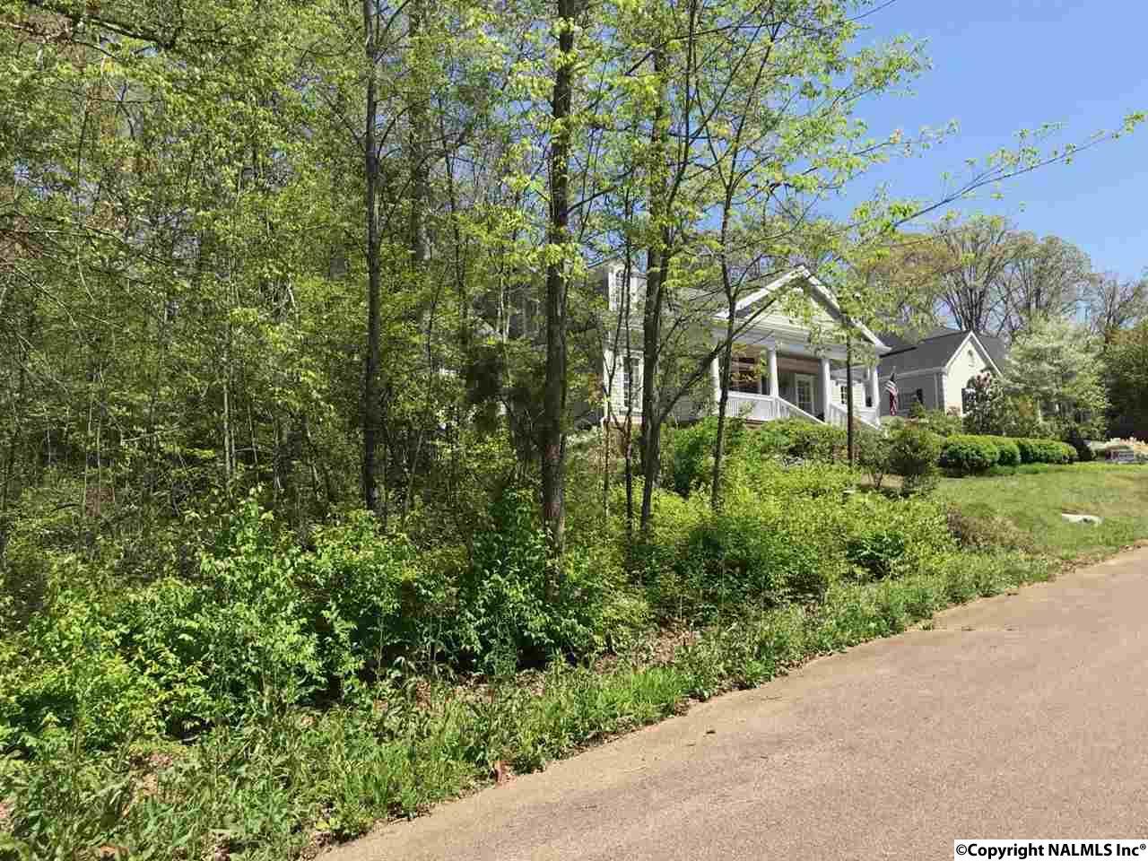 Lot 1 Woodcliff Road - Photo 1