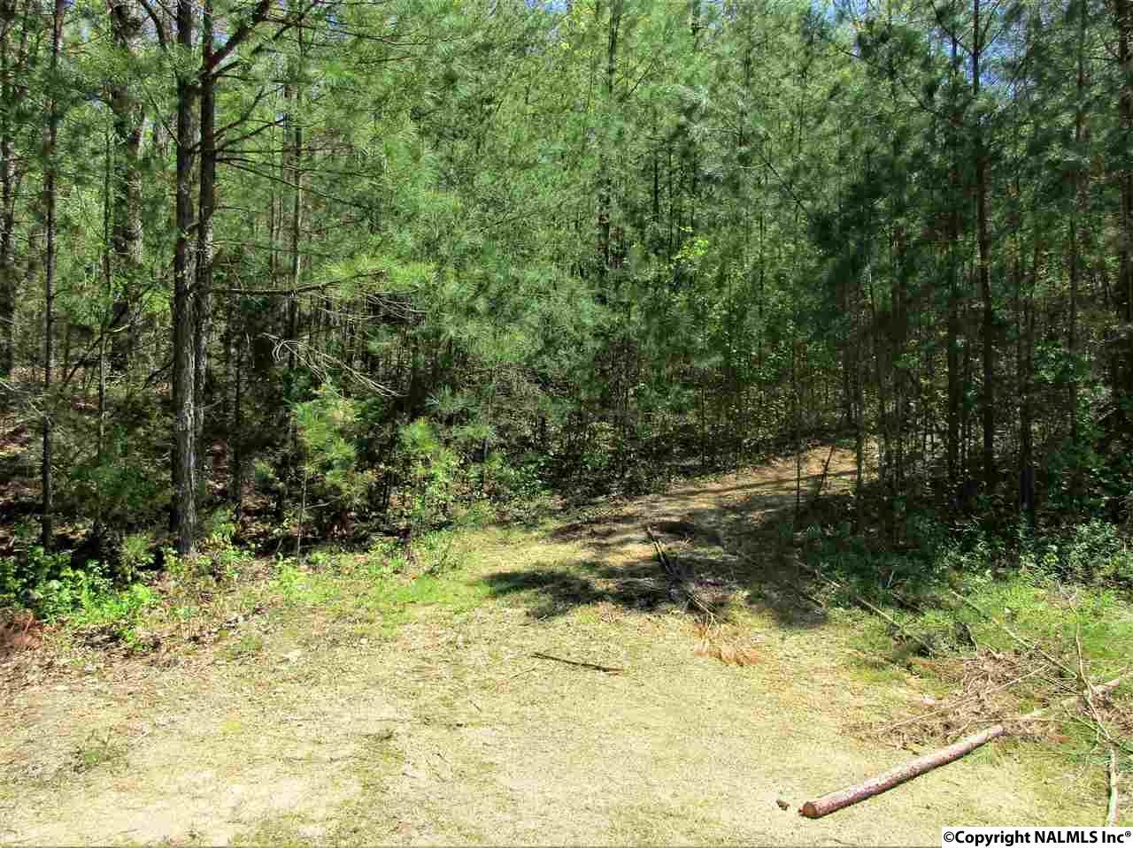 Dugout Valley Road - Photo 1