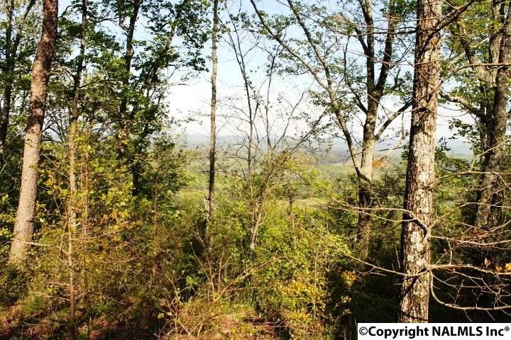 B7 County Road 865 - Photo 1