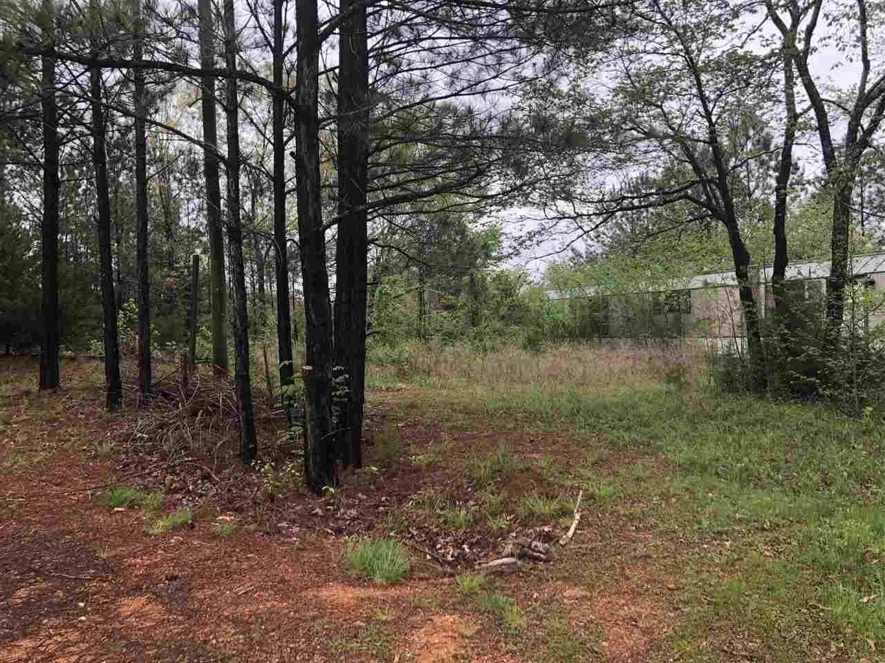 192 Bobo Lane - Photo 1