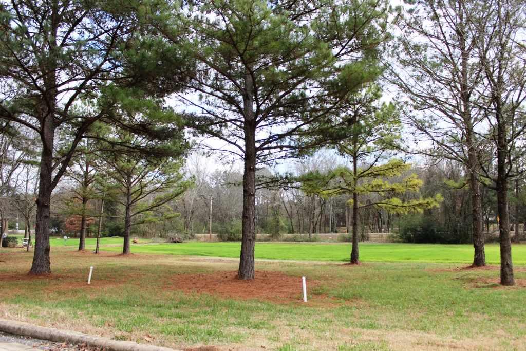 0 Cade Circle - Photo 1