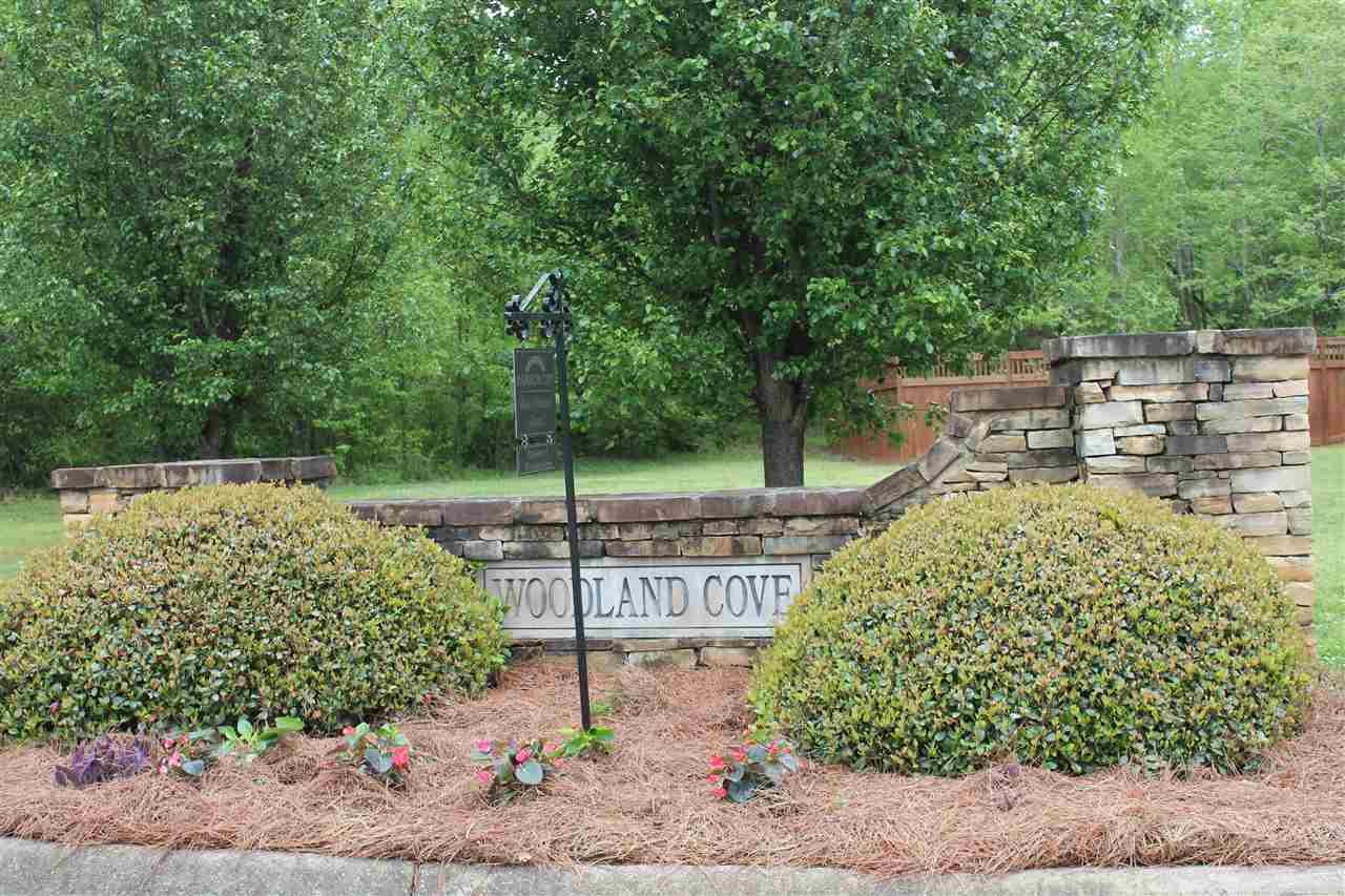 0 Woodland Cove Lane - Photo 1