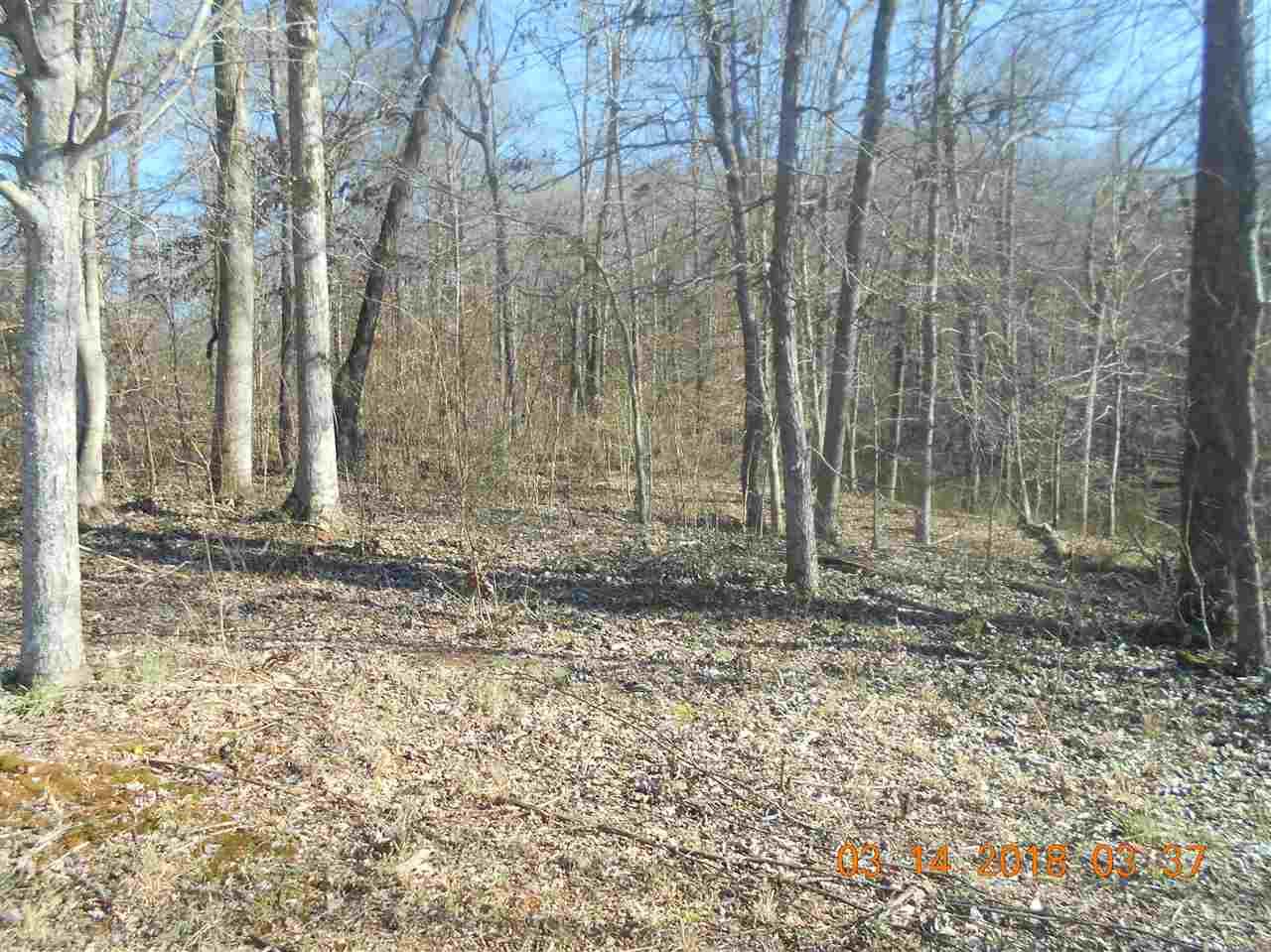 119 Lookout Mountain Drive - Photo 1