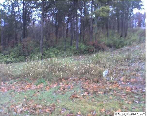 2847 Saddletree Blvd - Photo 1