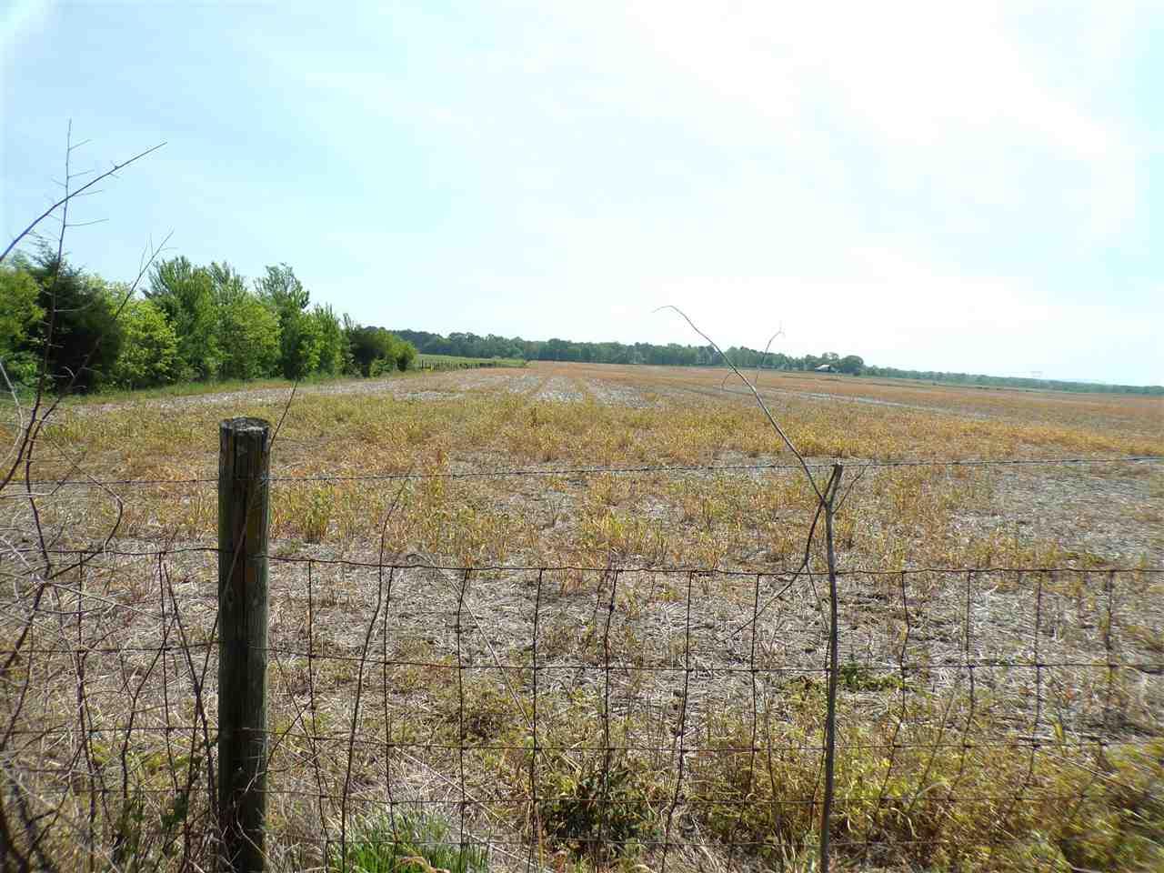 0 Hwy 251 - Photo 1