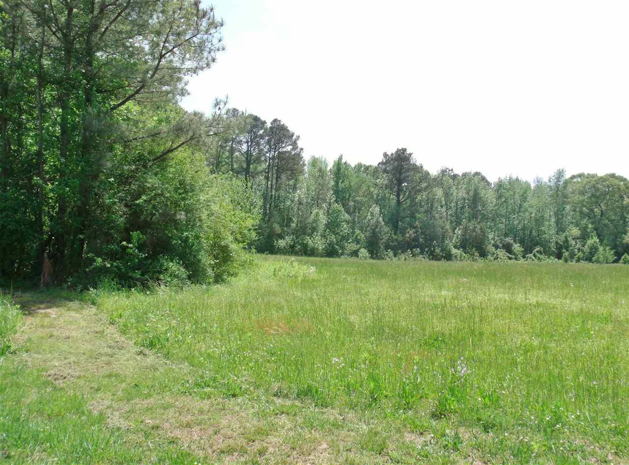 4.68 Fry Gap Road - Photo 1