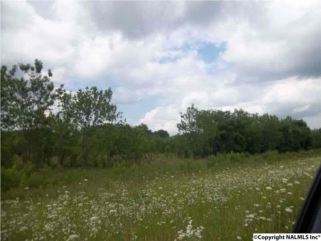 County Road 229 - Photo 1