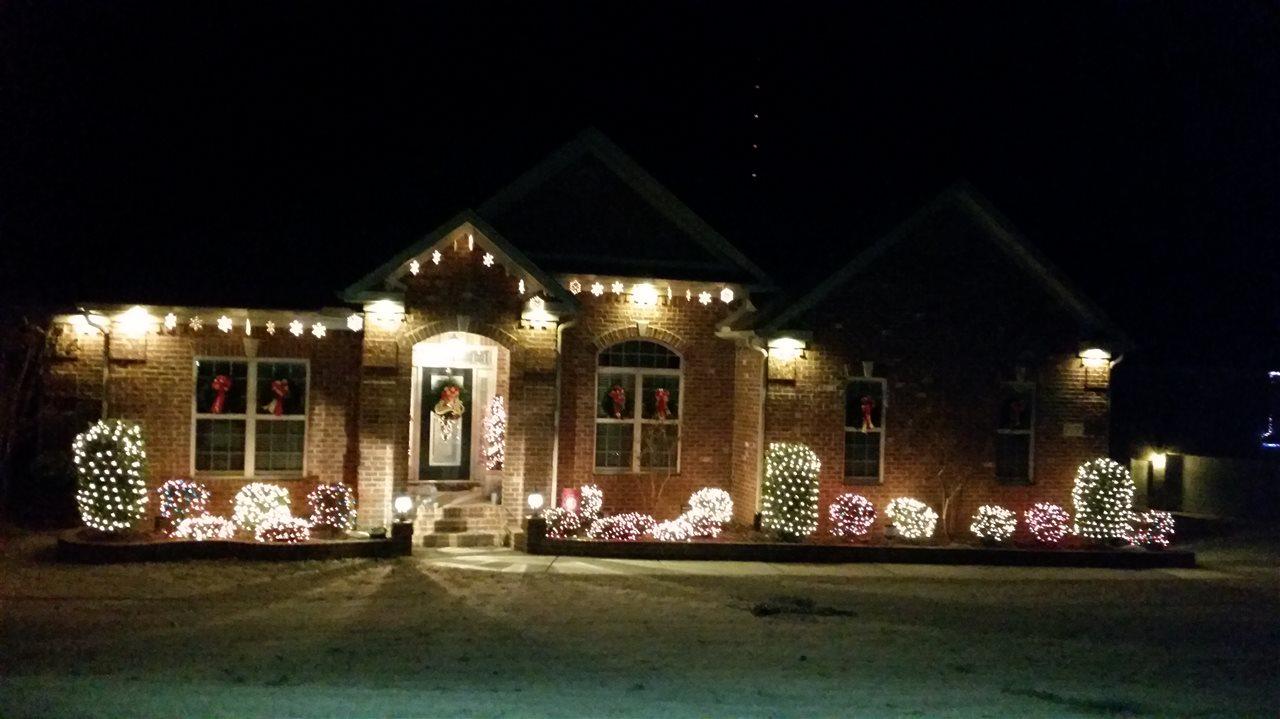 7050 Pale Dawn Place - Photo 1
