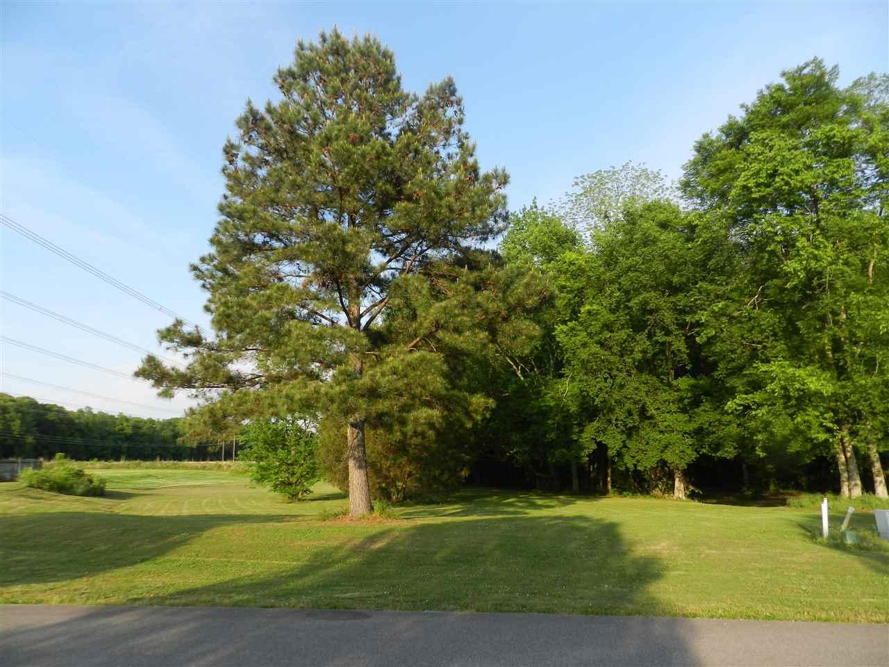 117 Hedgestone Drive - Photo 1