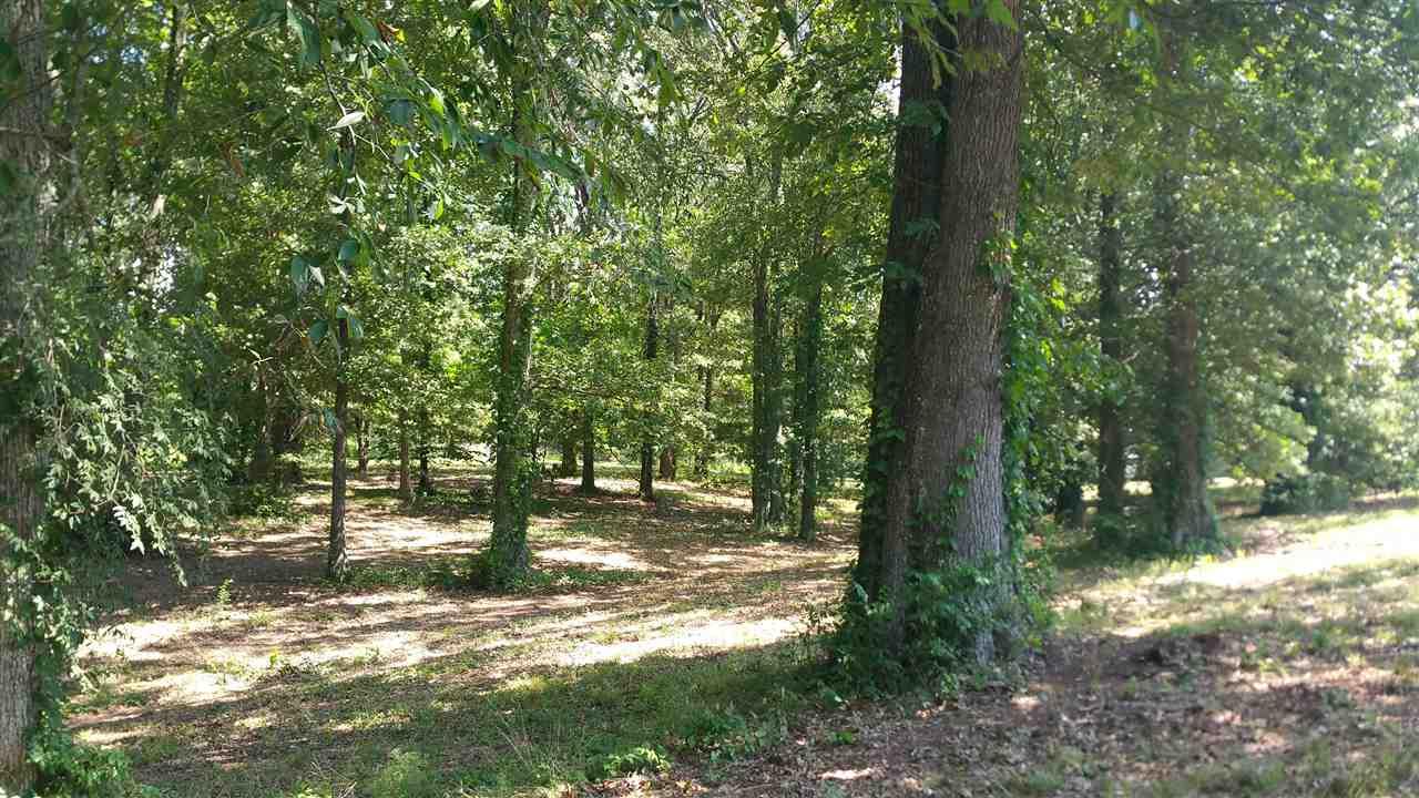 13230 St Andrews Drive - Photo 1