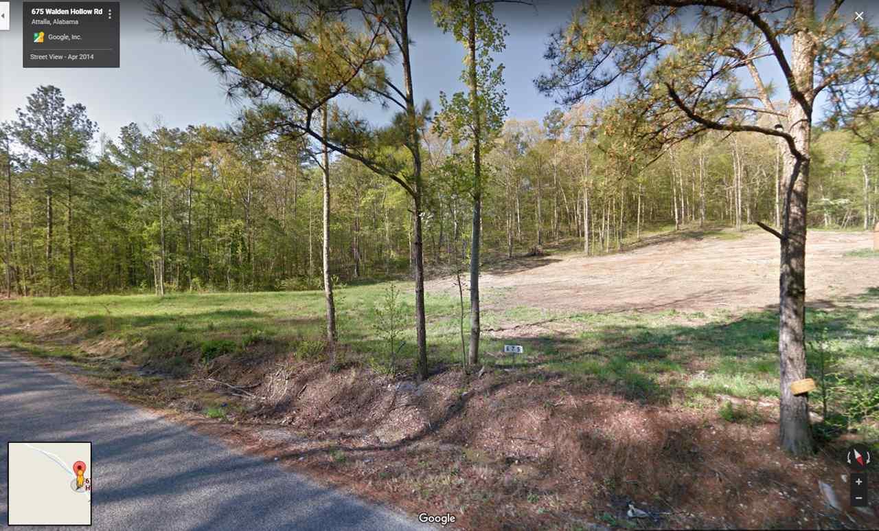 675 Walden Hollow Road - Photo 1