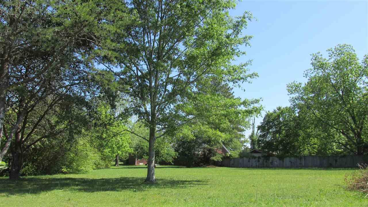 LOT 51 Lindo Drive - Photo 1