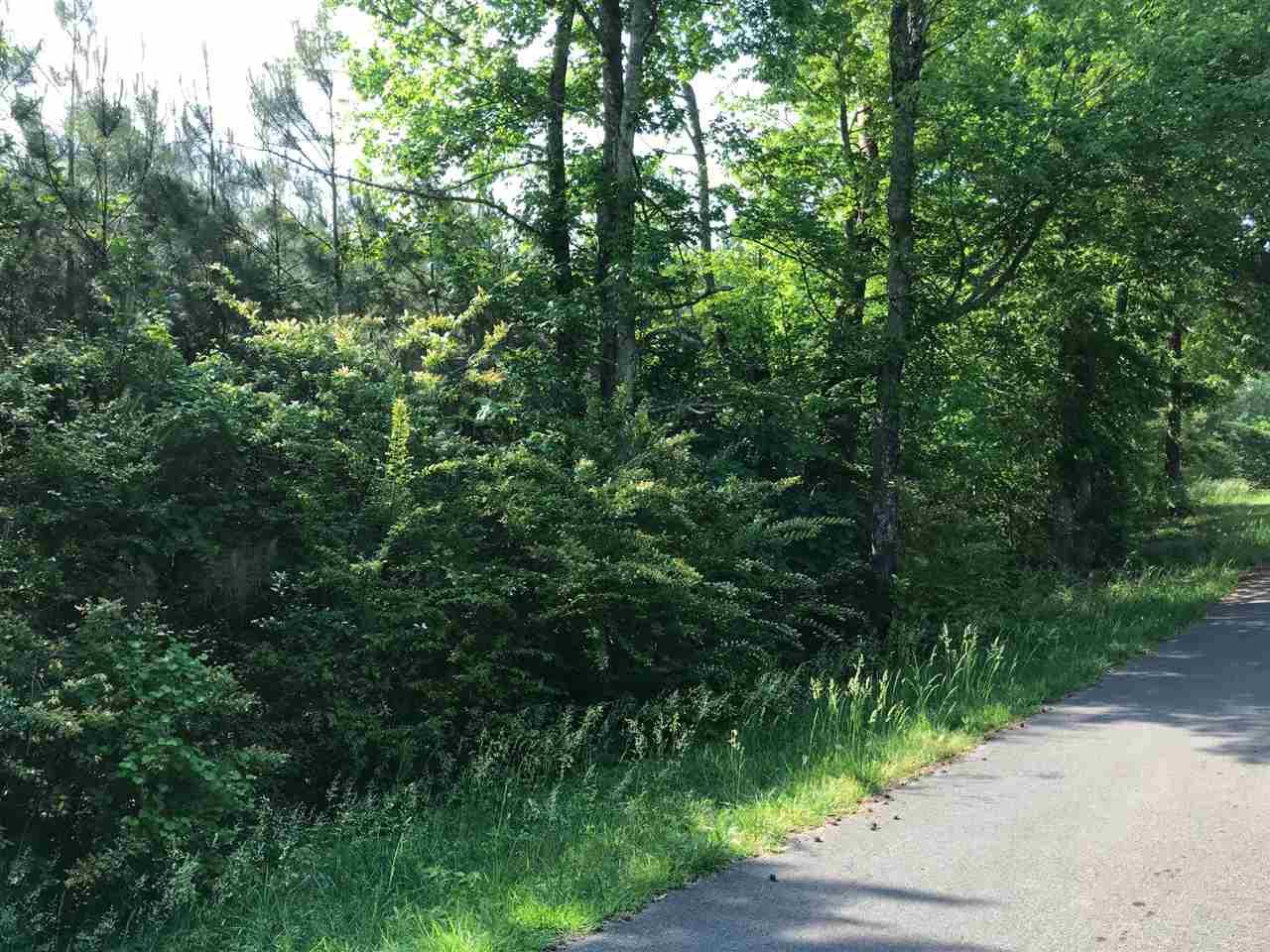 Dalewood Lane - Photo 1