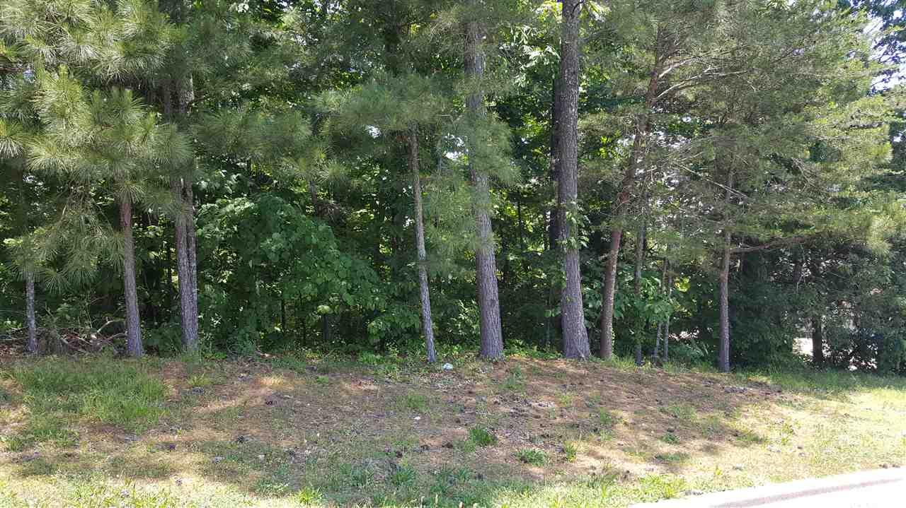 0 Eagle Ridge Drive - Photo 1