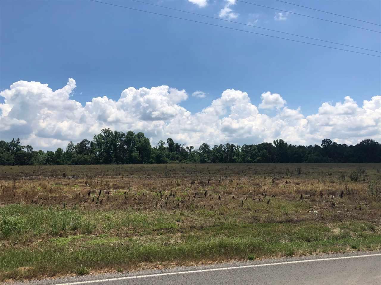 0 County Road 44 - Photo 1