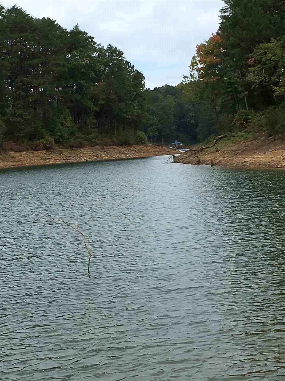 43 Sipsey Overlook - Photo 1