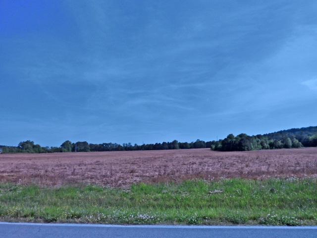 Poole Valley Road - Photo 1