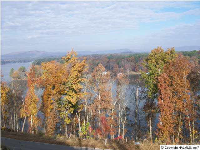 87 Monte Sano Drive - Photo 1