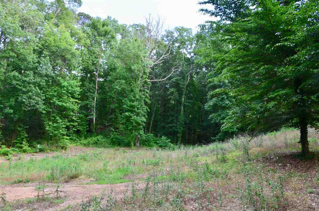 Wildwood Road - Photo 1
