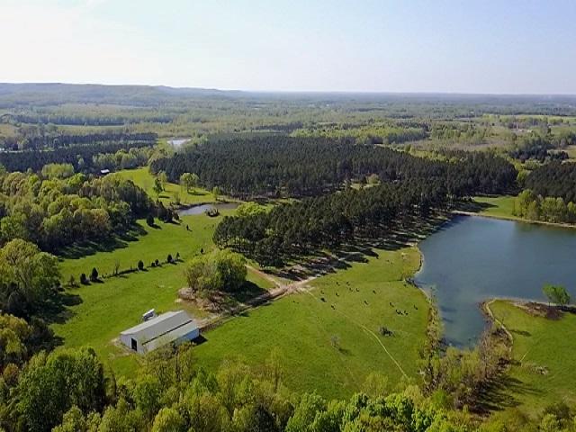1748 County Road 188 - Photo 1