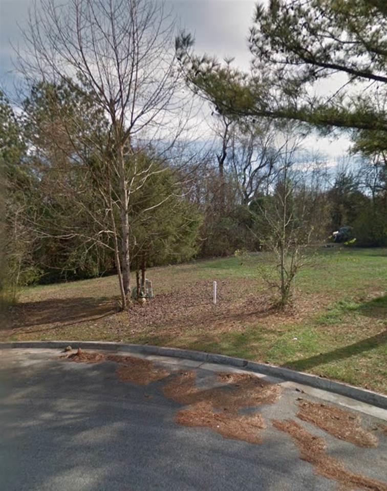 428 Meadow Winds Circle - Photo 1
