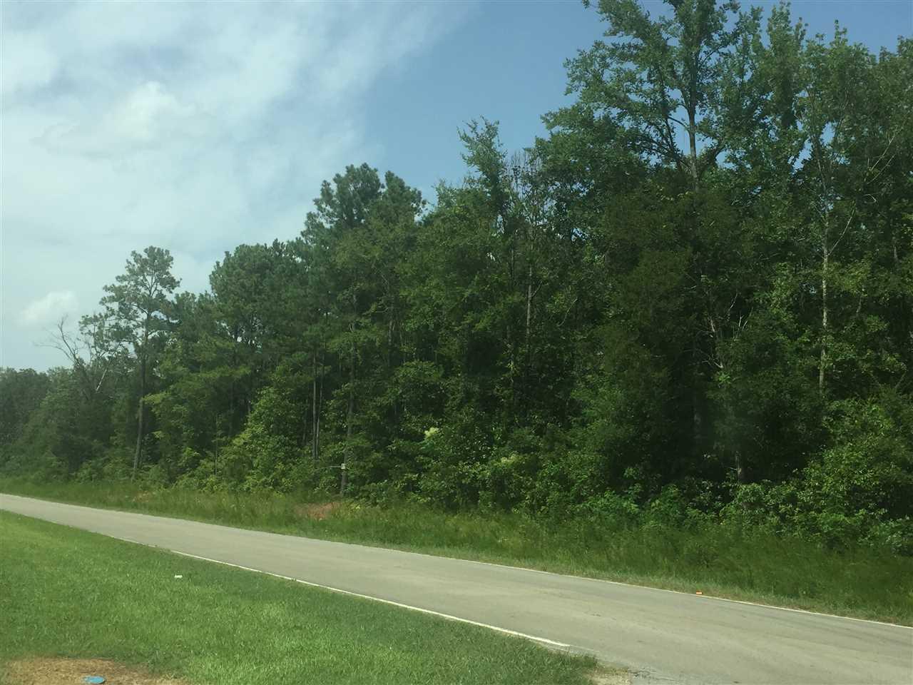 2400 Bluff City Road - Photo 1